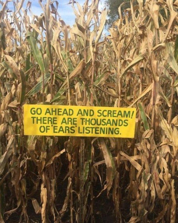 go ahead and scream there are thousands - Go Ahead And Scream There Are Thousands Of Ears Listening.