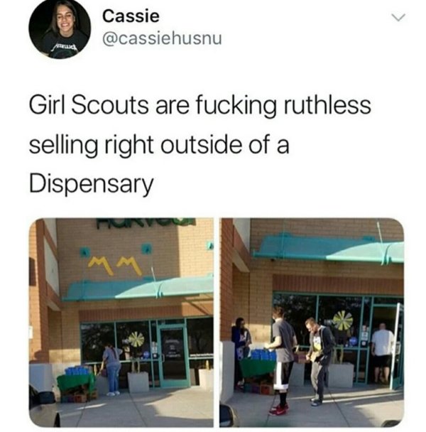 girl scout dispensary meme - Cassie Girl Scouts are fucking ruthless selling right outside of a Dispensary