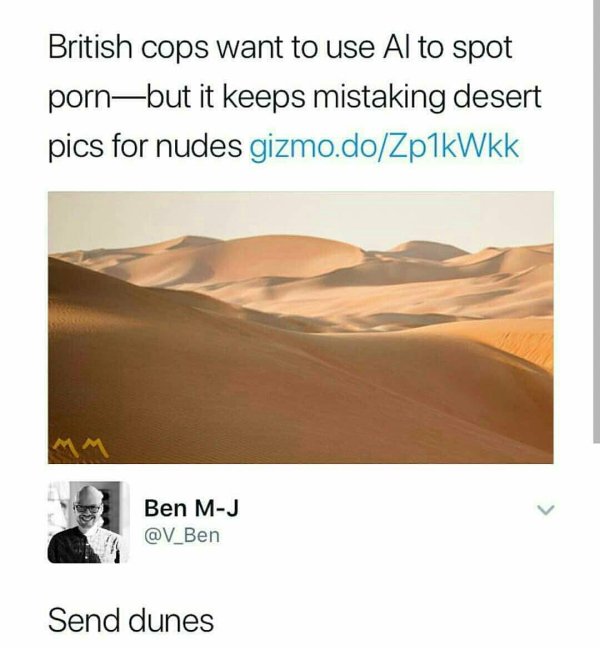send dunes - British cops want to use Al to spot pornbut it keeps mistaking desert pics for nudes gizmo.doZp1kWkk Ben MJ Send dunes