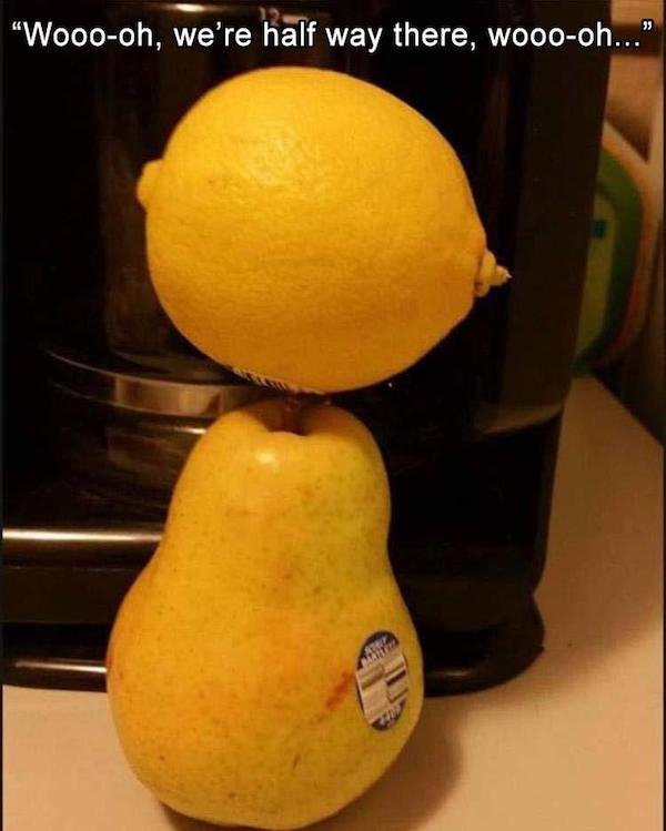 lemon on a pear meme - "Wooooh, we're half way there, wooooh..."