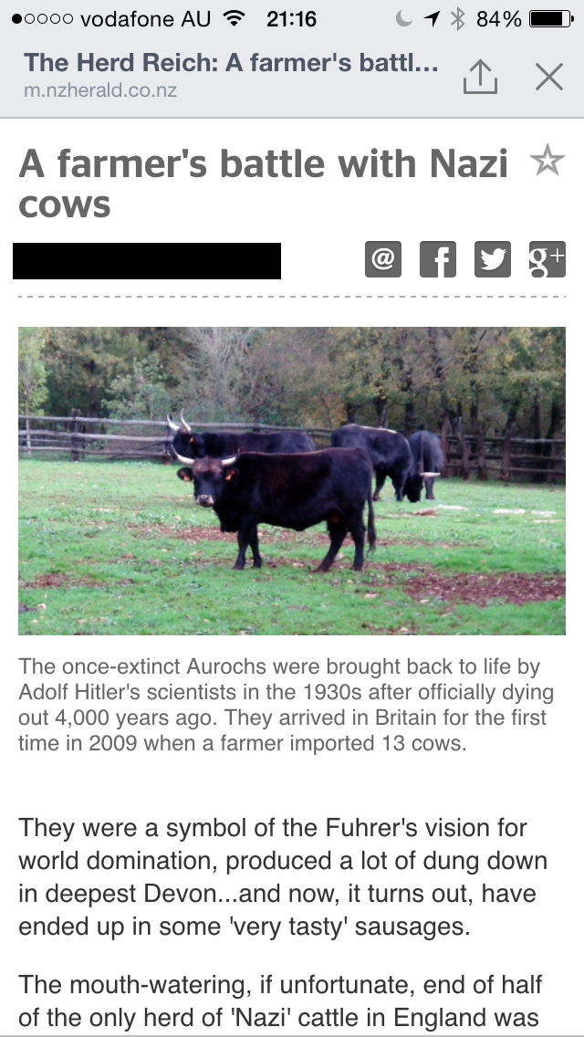 16 Best Headlines to Come Out of New Zealand - Funny Gallery
