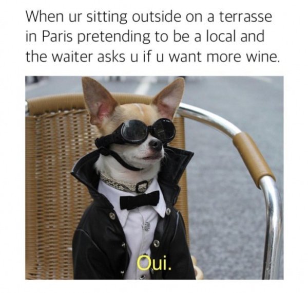 terrace meme - When ur sitting outside on a terrasse in Paris pretending to be a local and the waiter asks u if u want more wine. Oui.