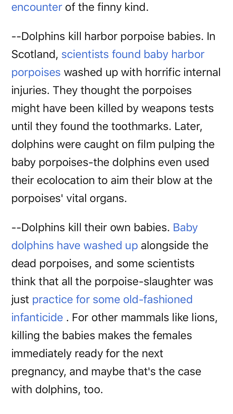 The dark secrets of dolphins
