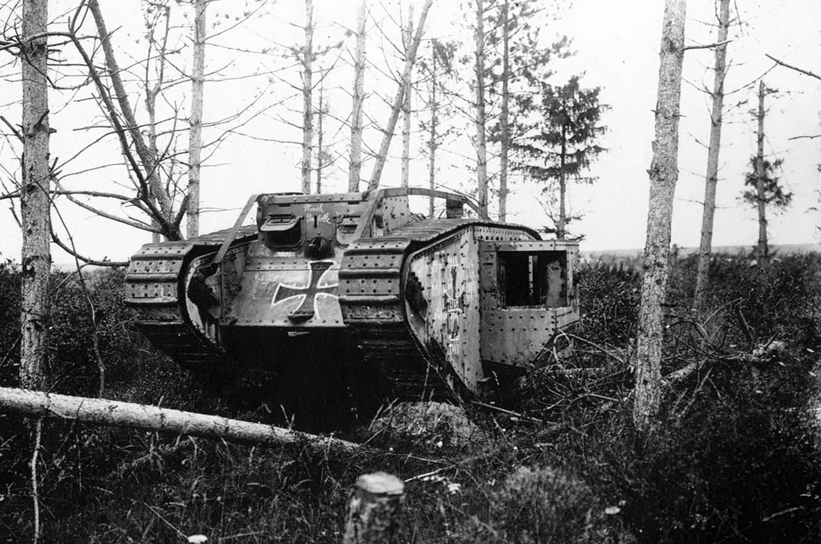 A British-made Mark IV tank, captured and re-painted by Germans, now abandoned in a small wood