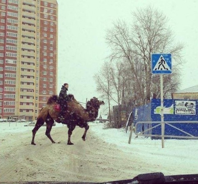 just a normal day in russia
