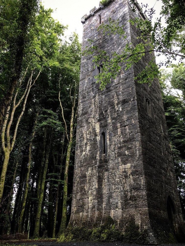“This tower we found in an Irish forest looks like something out of a fairy-tale.”