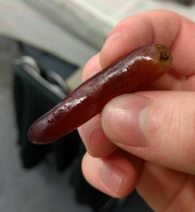 “I got a very long grape.”