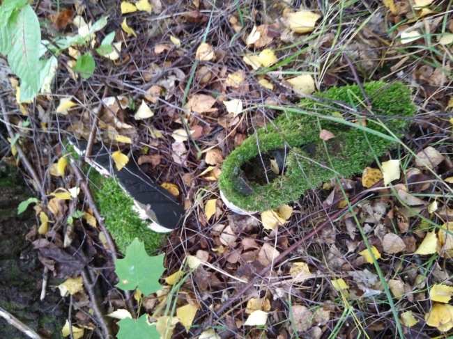 “I found old shoes in the forest that have completely turned to moss!”