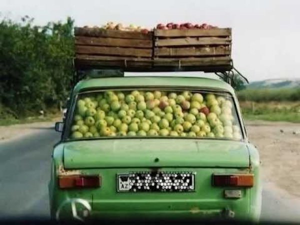 car filled with apples