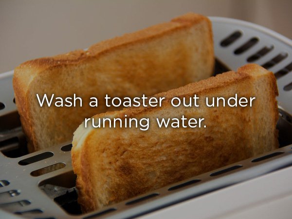 toast bread in toaster - Wash a toaster out under running water.