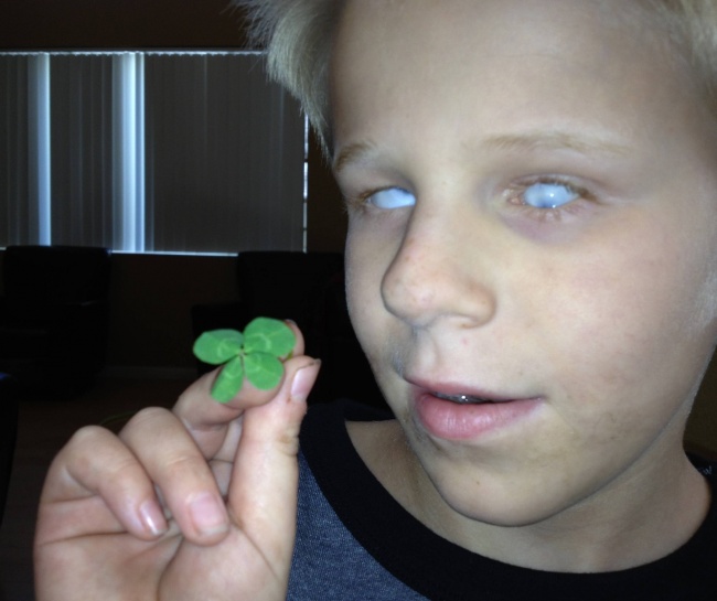 A blind boy finds a lucky clover.