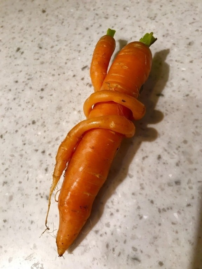 A carrot hugs another carrot.
