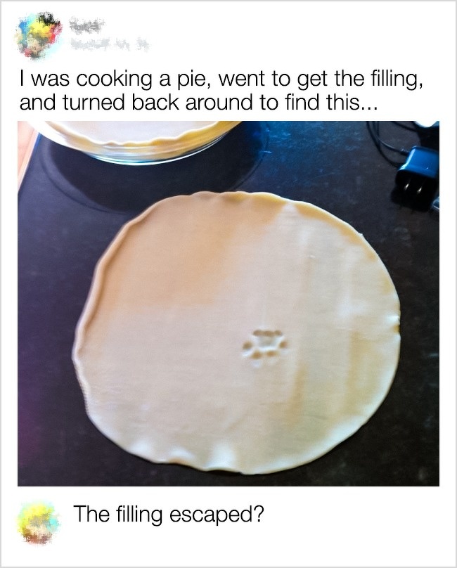 funny comment material - I was cooking a pie, went to get the filling, and turned back around to find this... club The filling escaped?