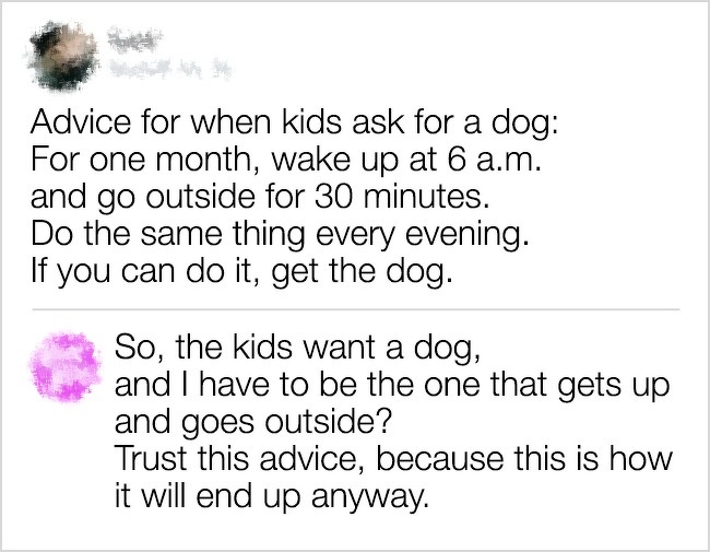funny comment comments award - Advice for when kids ask for a dog For one month, wake up at 6 a.m. and go outside for 30 minutes. Do the same thing every evening. If you can do it, get the dog. So, the kids want a dog, and I have to be the one that gets u