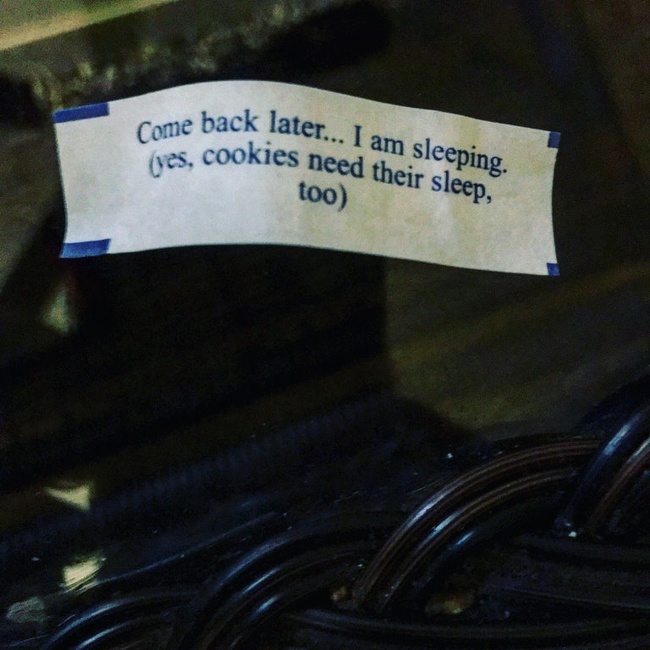 windshield - Come back a yes, cookies back later... I am sleeping. cookies need their sleep, too