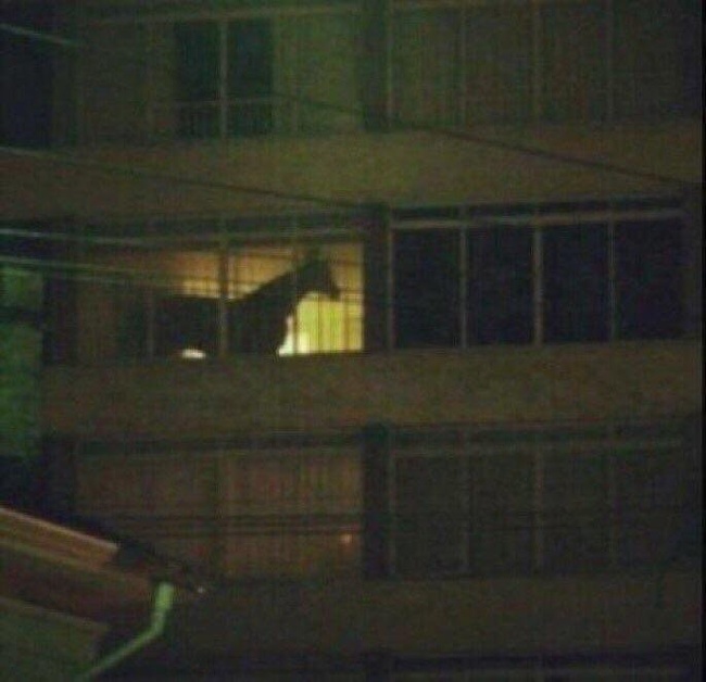 i m gonna take my horse to the hotel room