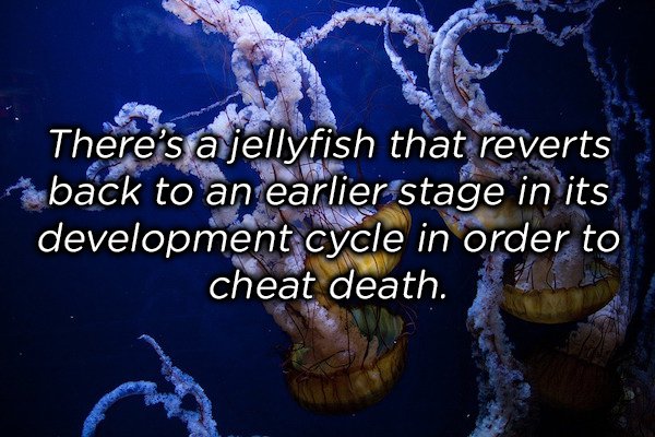 20 mind-blowing facts in one sentence