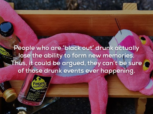 stuffed toy - People who are 'black out' drunk actually lose the ability to form new memories. Thus, it could be argued, they can't be sure of those drunk events ever happening. Feiges, Fruchichery Feige my Vocal 20mle