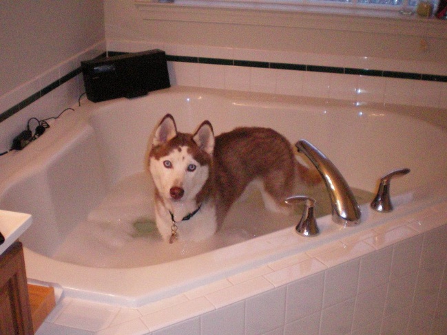 “This is what happens when I try to surprise my wife with a bath...”