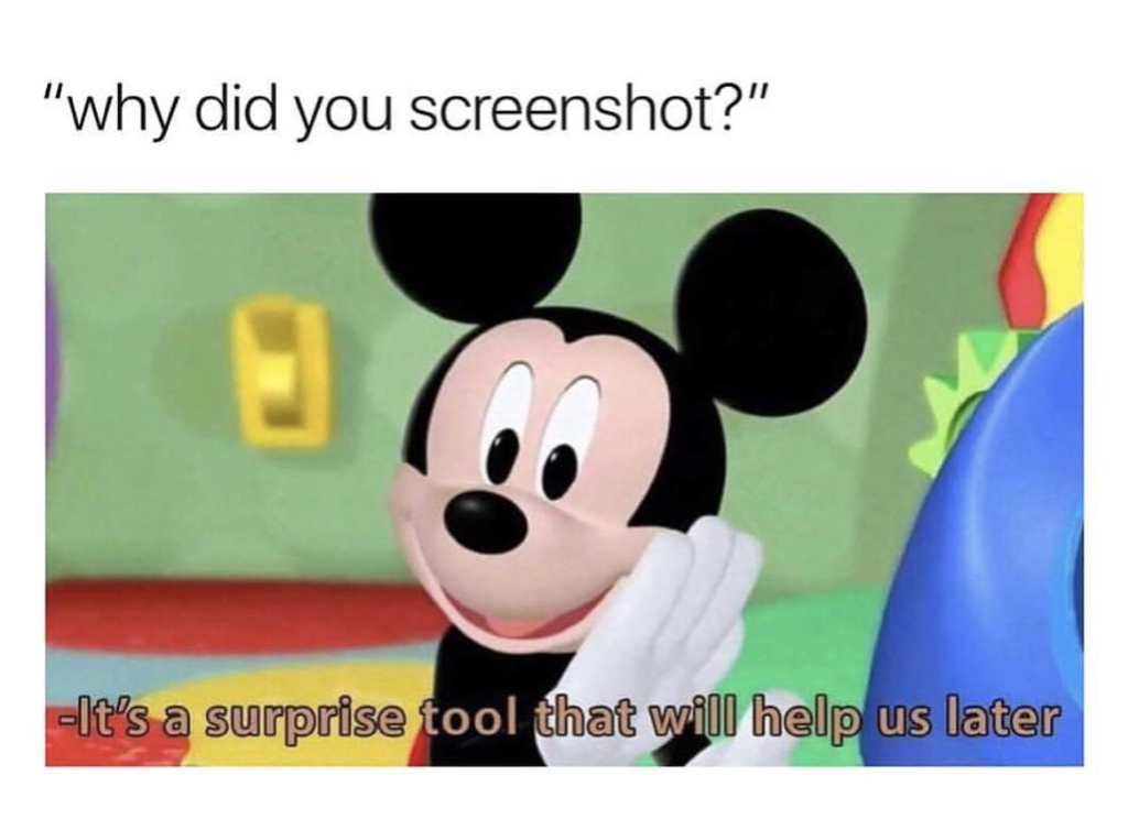 mystery mousekatool meme - "why did you screenshot?" It's a surprise tool that will help us later