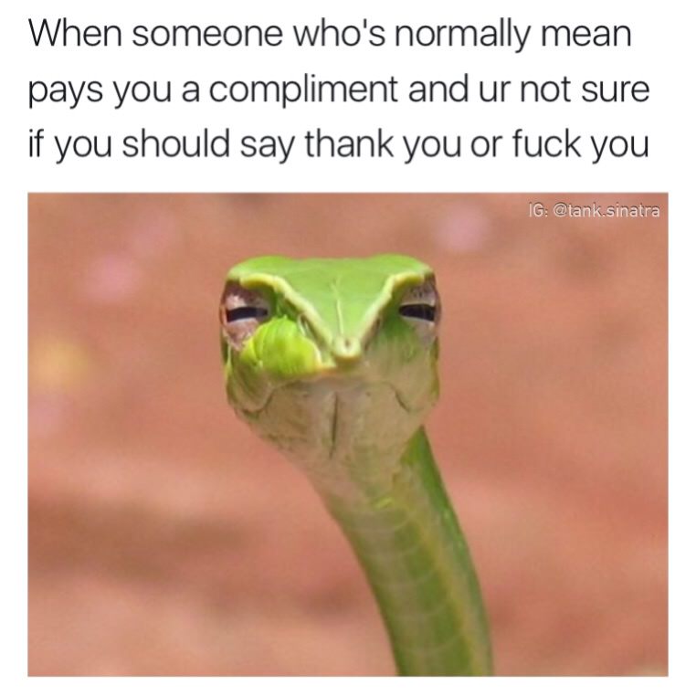 judgemental shoelace - When someone who's normally mean pays you a compliment and ur not sure if you should say thank you or fuck you Ig .sinatra