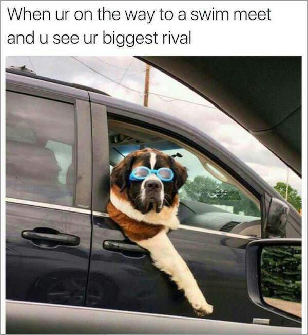 uplifting memes funny - When ur on the way to a swim meet and u see ur biggest rival