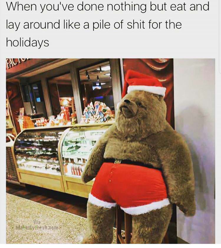getting fat for christmas meme - When you've done nothing but eat and lay around a pile of shit for the holidays Falt Mohtly resh.com