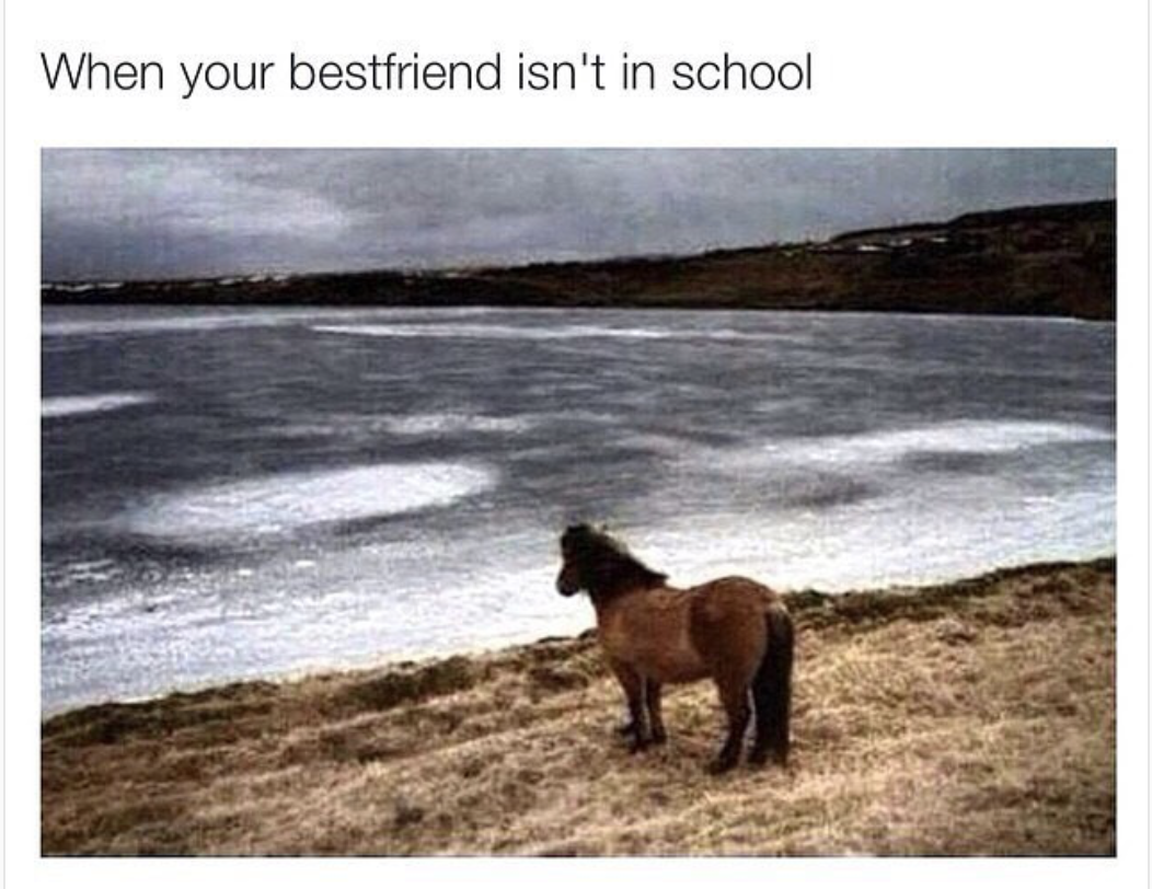 your friend is not at school - When your bestfriend isn't in school