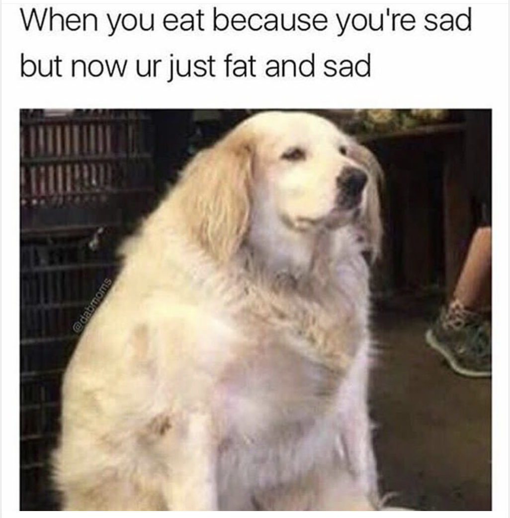 sad and fat meme - When you eat because you're sad but now ur just fat and sad