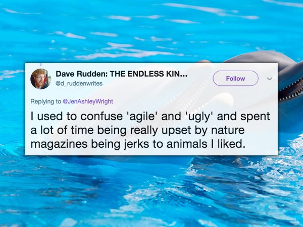 Dave Rudden The Endless Kin... Wright I used to confuse 'agile' and 'ugly' and spent a lot of time being really upset by nature magazines being jerks to animals I d.