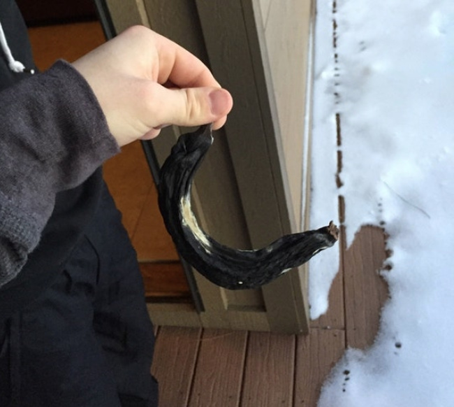 “A decade-old banana my dad found in his ski jacket.”