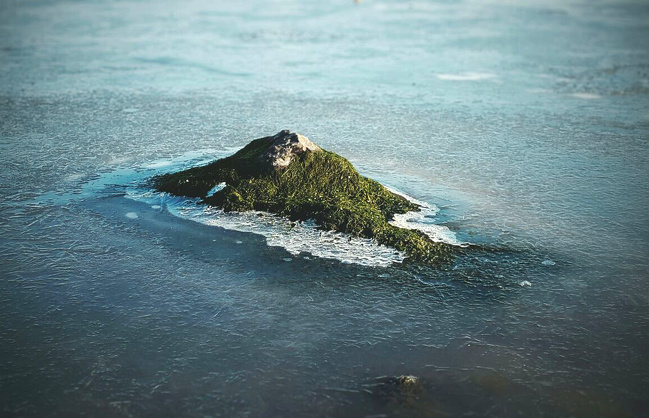 This little stone covered with moss looks like a tropical island in the middle of the ocean