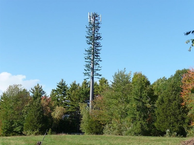 “A cellphone​ tower disguised as a tree.”