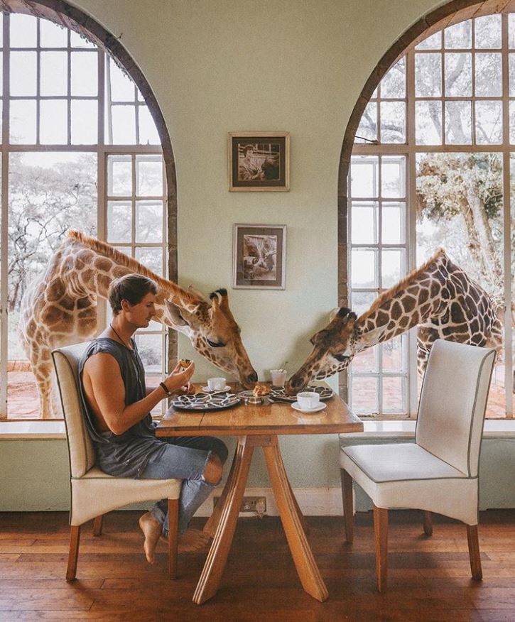 do you travel giraffe manor