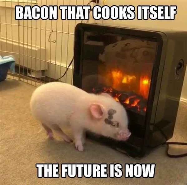 self cooking bacon meme - Bacon That Cooks Itself The Future Is Now