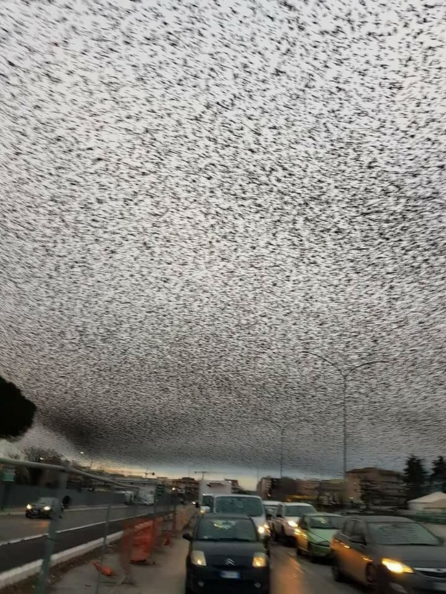Yesterday the sky above Rome turned weird.