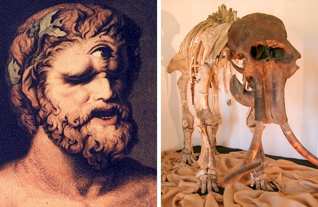 The myth of the Cyclops.
Greek myths are full of stories about cyclops. But did they really exist? Or have they just been mixed up with someone or something else? Historians argue that when the remains of mammoths were found, the Greeks didn’t understand where these large bones came from and drew their own conclusions.