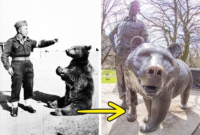 Wojtek soldier bear. In 1943 during the war, Polish soldiers of the Anders Army, that were supplying artillery equipment, found a small brown bear cub in Iran. He was given the name Wojtek, which in Polish means “the one that enjoys war” or “a smiling warrior.” The main task of his fellow soldiers was the delivery of ammunition. During the Battle of Monte Cassino (Italy), this unusual soldier carried a box of ammunition with his comrades and never dropped it. In honor of Wojtek, a monument has been put in Edinburgh and he is also a symbol on the emblem of the 22nd Polish transport company.