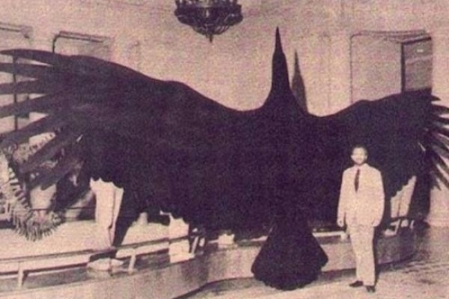 The biggest bird that ever lived on Earth. Argentavis is a Teratorn bird that lived on our planet thousands of years ago. Its wingspan stretched about 25 ft. It is considered the biggest bird that has ever existed.