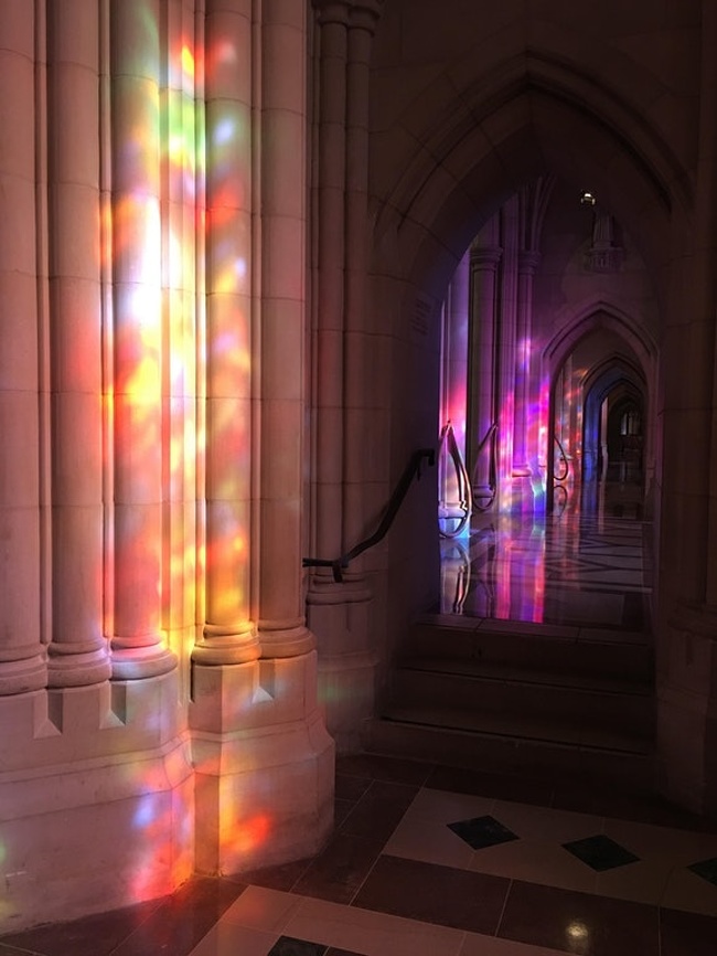 “Went to the National Cathedral and went upstairs at the perfect moment.”