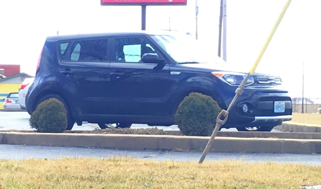 “Walking back to the car and noticed that the bushes were perfectly spaced to look like my tires. I was a bit confused for a moment.”