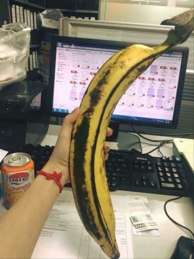 This banana is twice the size of the computer.