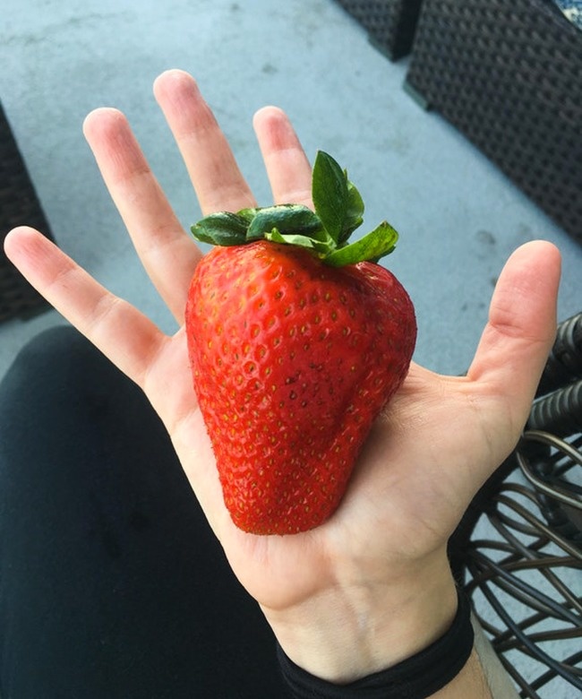 Is this some kind of alien mutant strawberry?