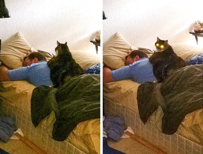 “Roommate took a photo of me sleeping while the cat watched.”