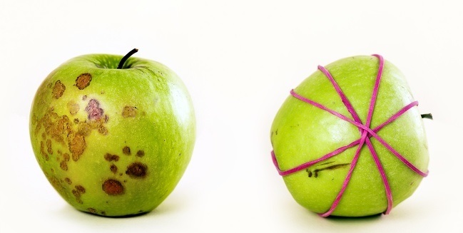 If you cut an apple, it will go yellow because of the iron in the apple which creates a chemical reaction with oxygen. Use a rubber band to keep them together and take them anywhere you want. In this case, the oxygen won’t react with the iron.