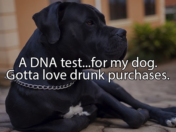 15 worst drunk purchases people ever made