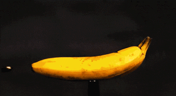 perfect fit banana