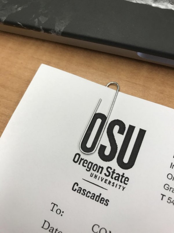 perfect fit Oregon State University Cascades To Dato Co