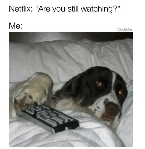 got plans dog meme - Netflix "Are you still watching?" Me