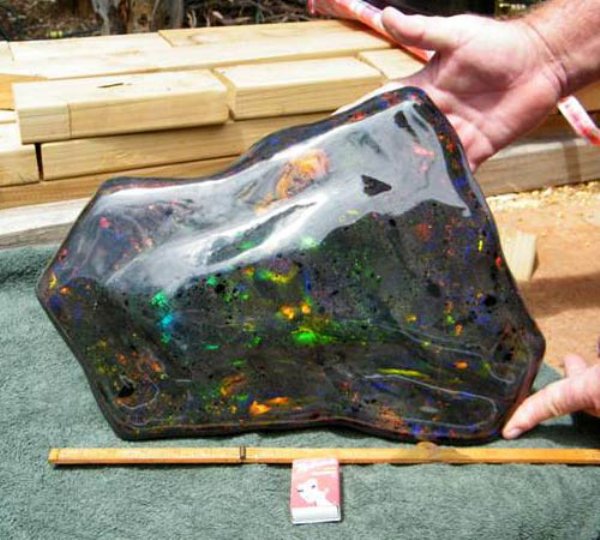 In 2011, the world’s largest opal stone was found in South Australia. It was found by noted designer Stuart Hughes and his associates, and it had 55,000 carats (25 lb) of pure opal.

The stone was valued at $1 million.